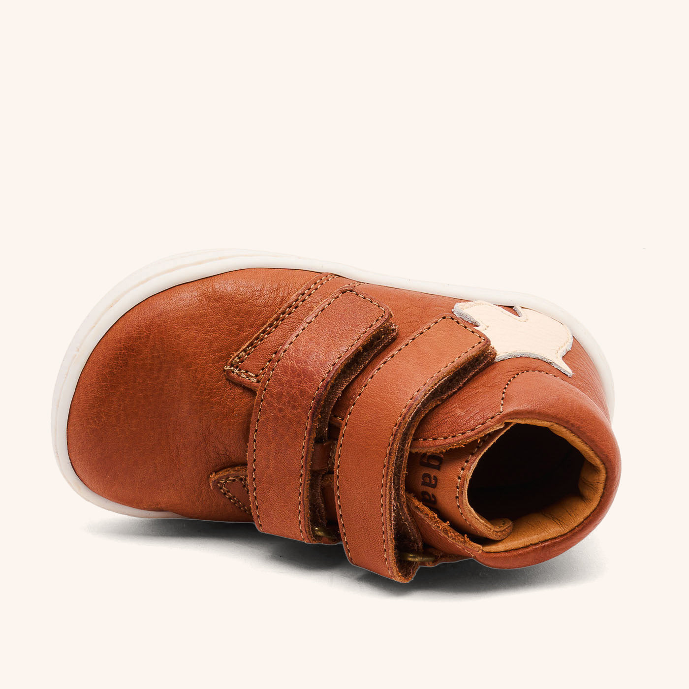 bisgaard barefoot theodore v brown