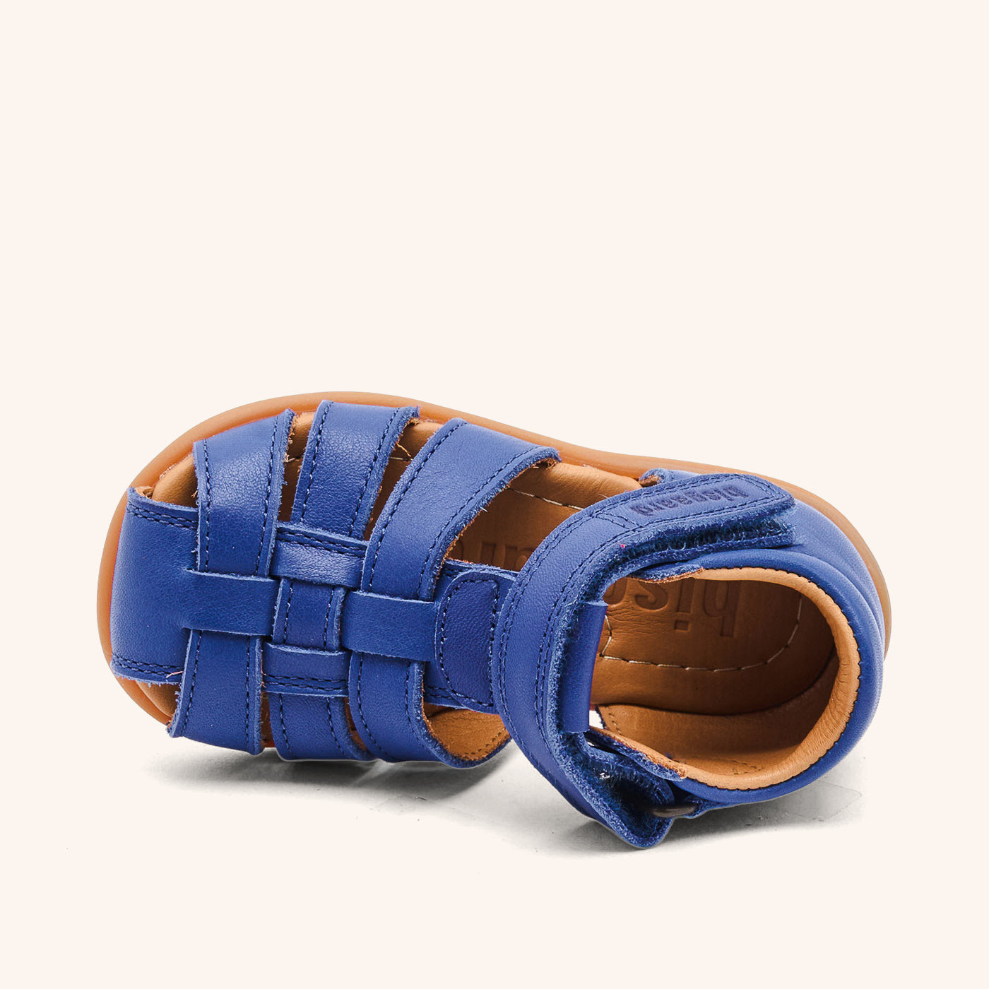 bisgaard carly blue