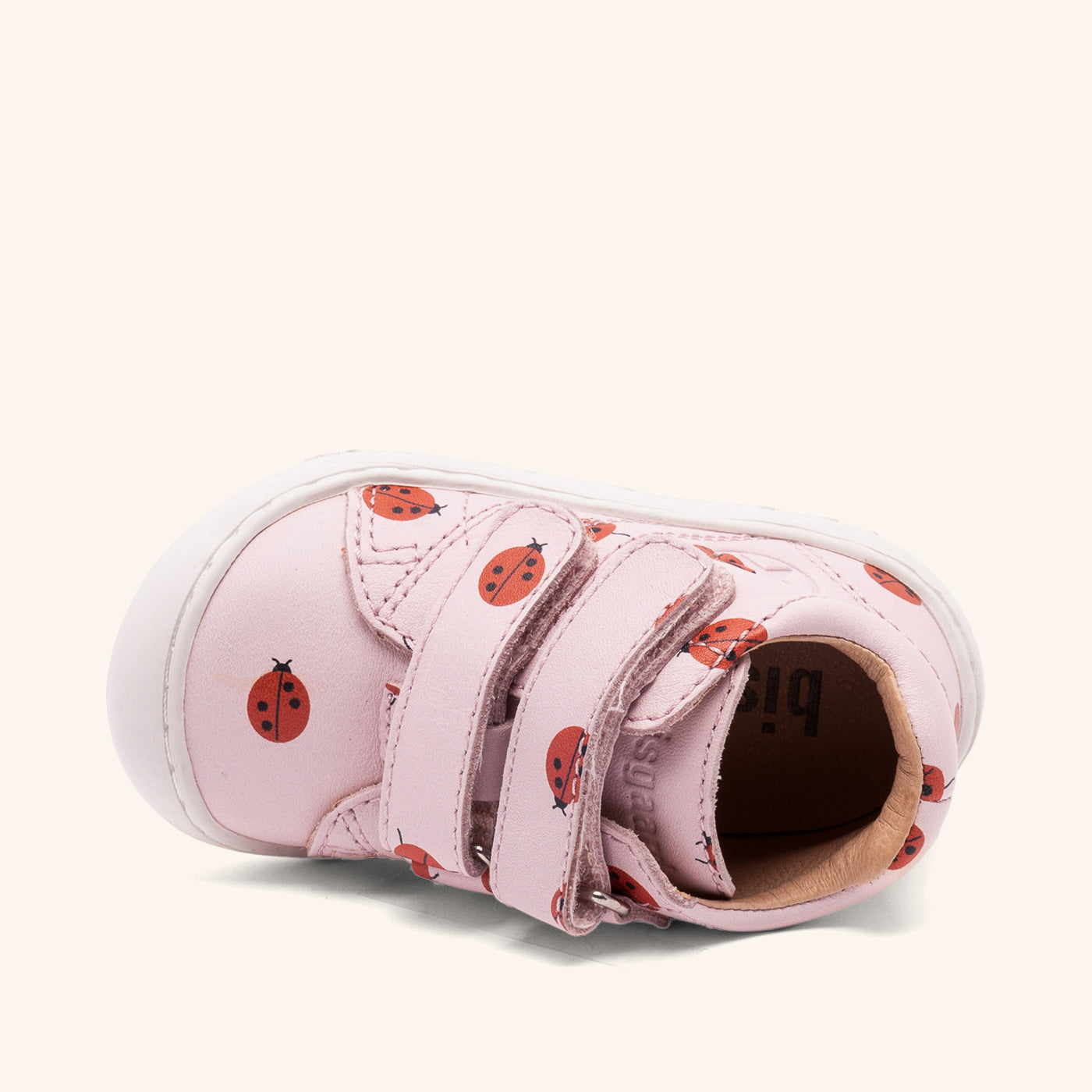 bisgaard hale v lady bugs