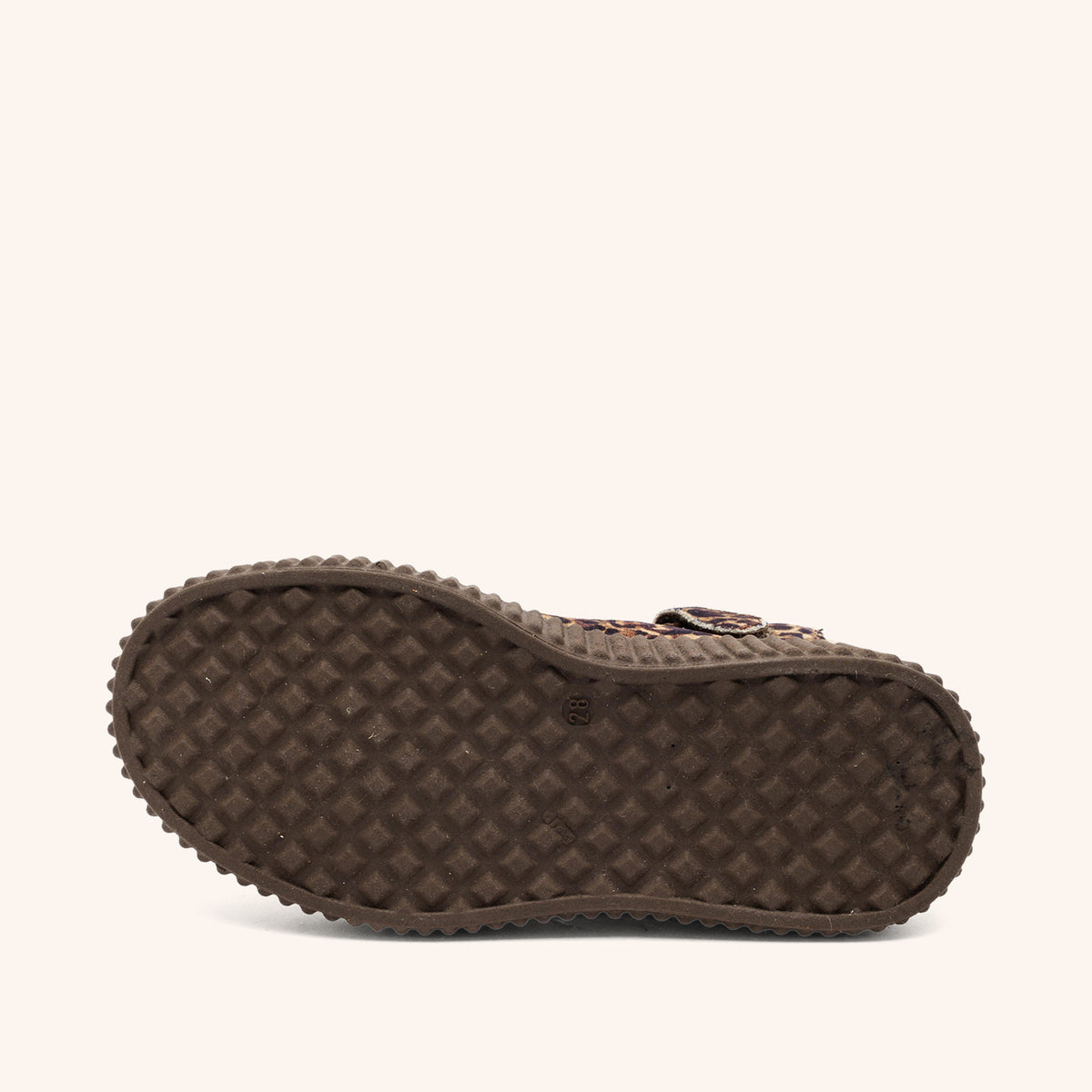 bisgaard debbie l leopard