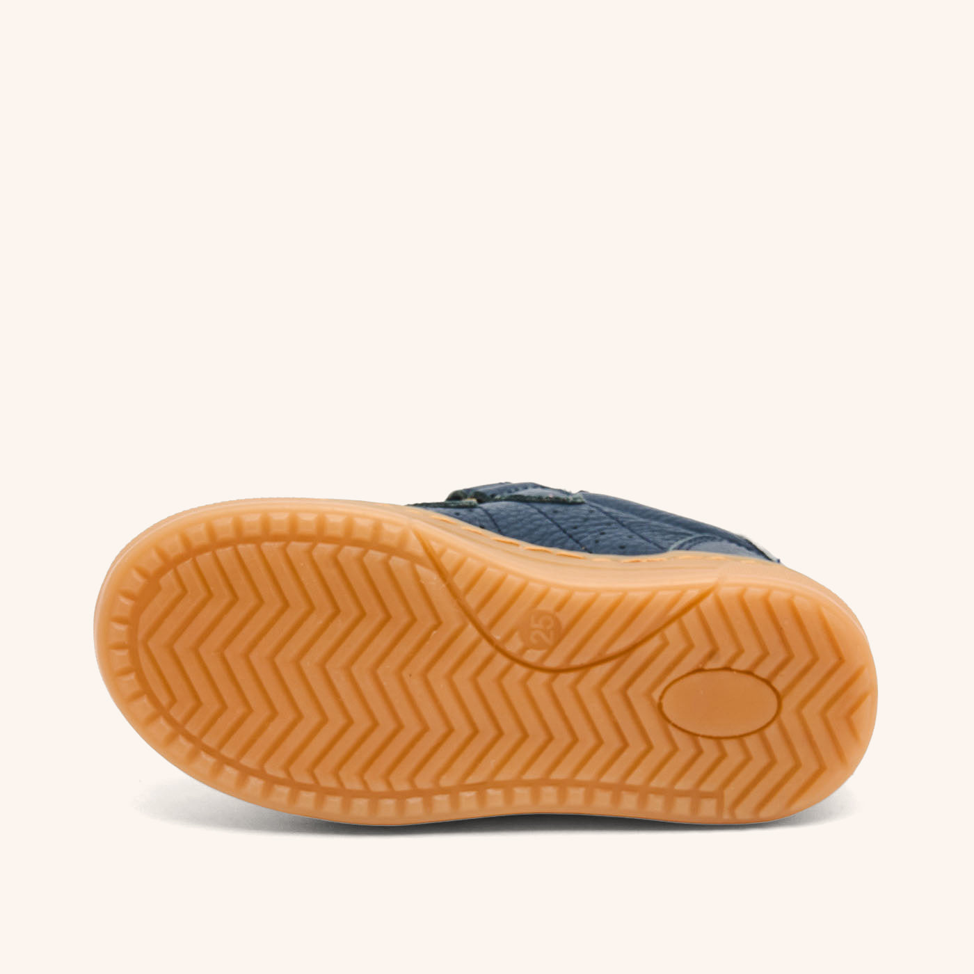 bisgaard rob navy