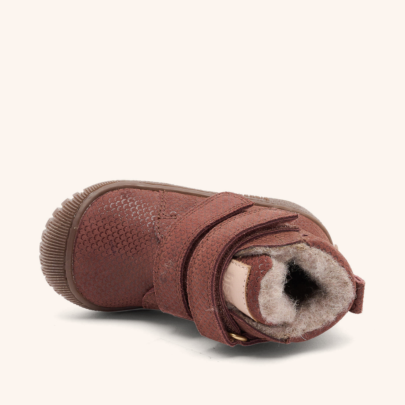 bisgaard evon tex plum