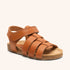 bisgaard aksel cognac
