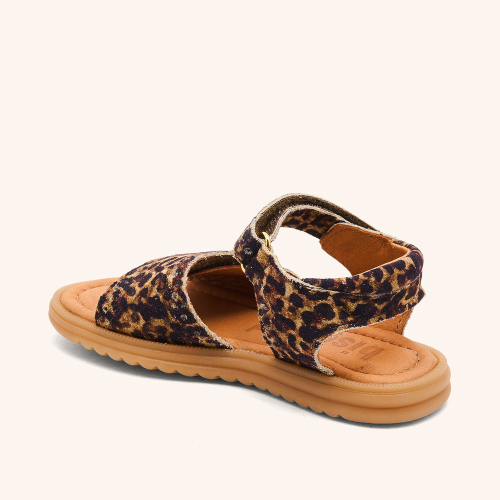 bisgaard andrea leopard