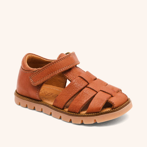 bisgaard beka cognac