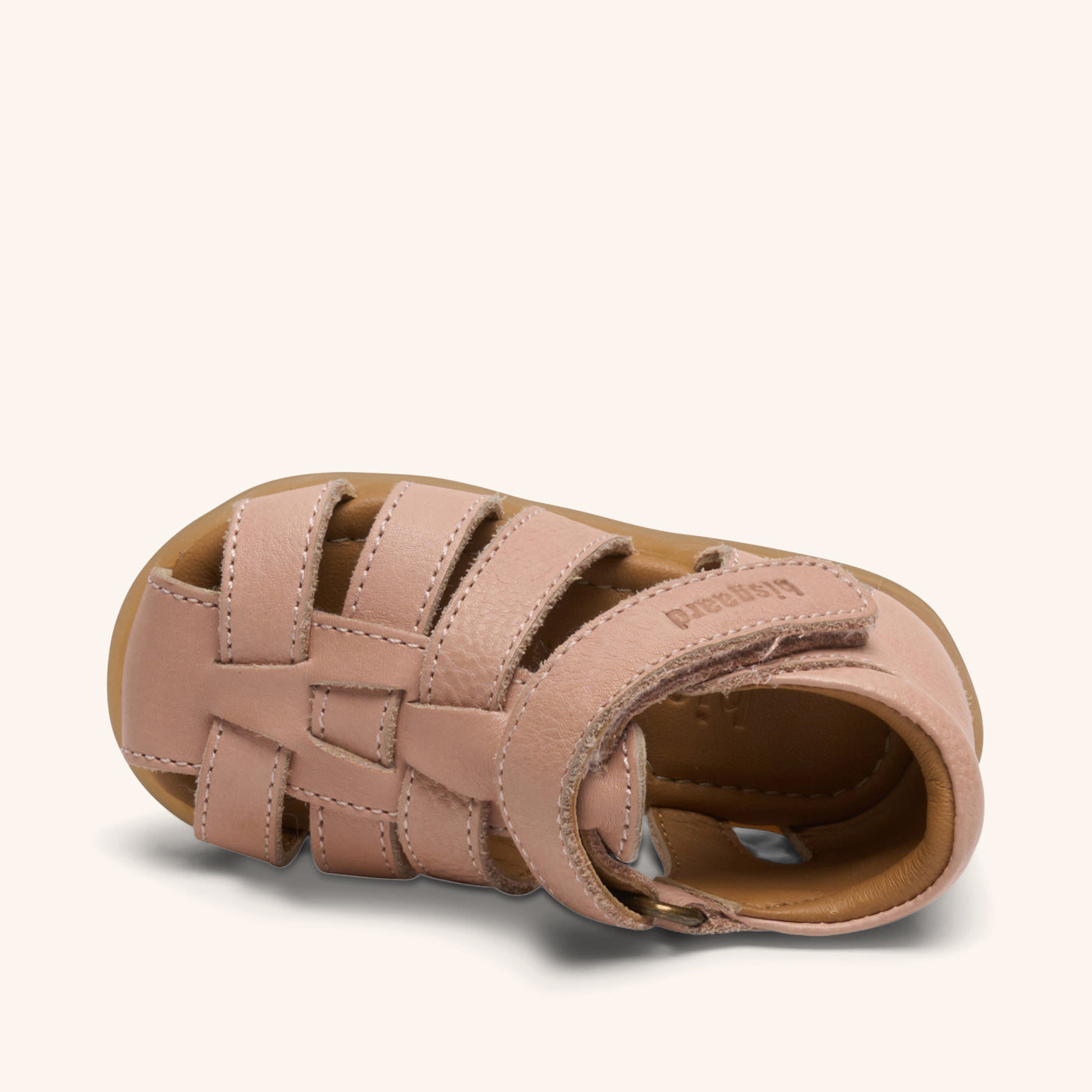 bisgaard aura rose
